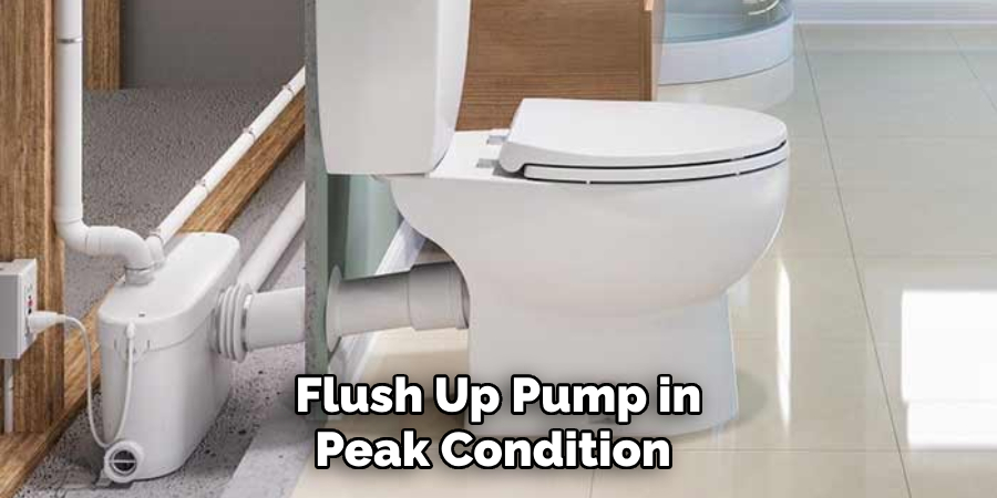  Flush Up Pump in Peak Condition