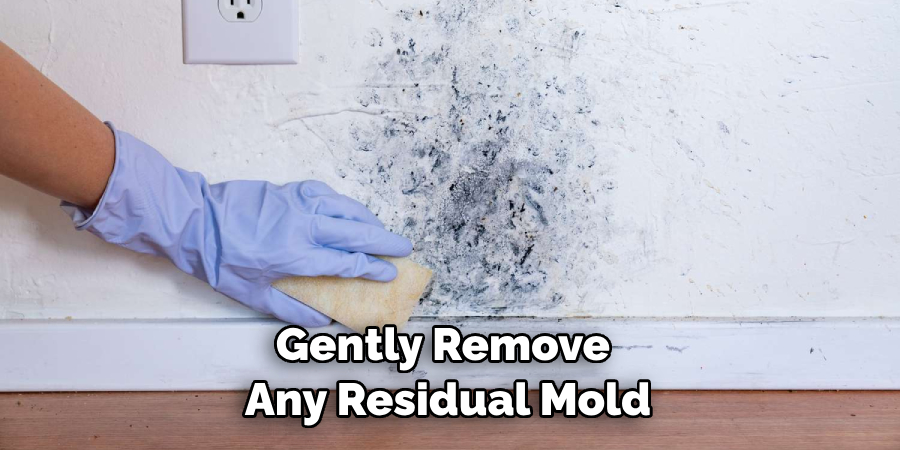 Gently Remove Any Residual Mold