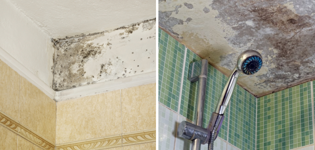 How to Remove Ceiling Mold in Bathroom