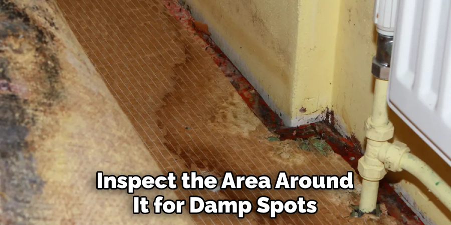 Inspect the Area Around It for Damp Spots