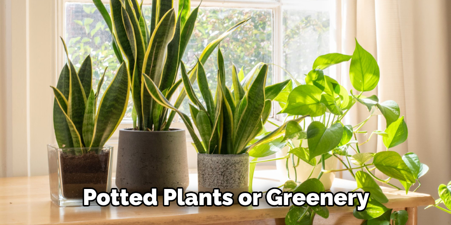 Potted Plants or Greenery