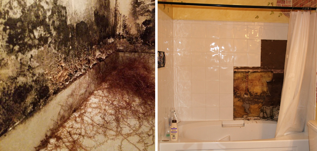 How to Check for Mold Behind Shower Tile