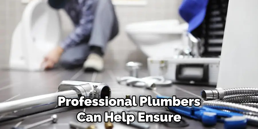 Professional Plumbers Can Help Ensure