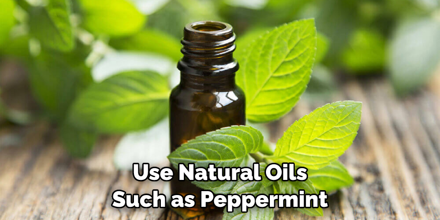 Use Natural Oils Such as Peppermint