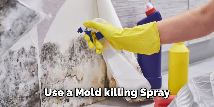 Use a Mold killing Spray