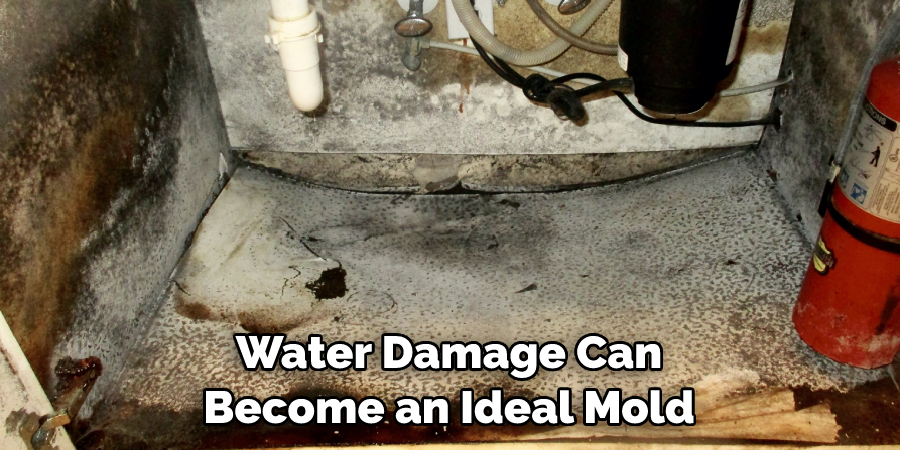 Water Damage Can Become an Ideal Mold