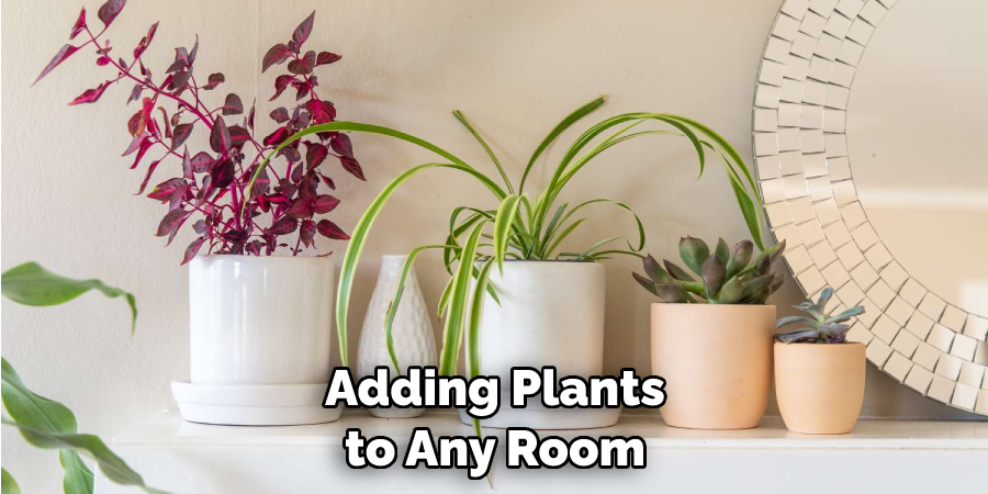 Adding Plants to Any Room