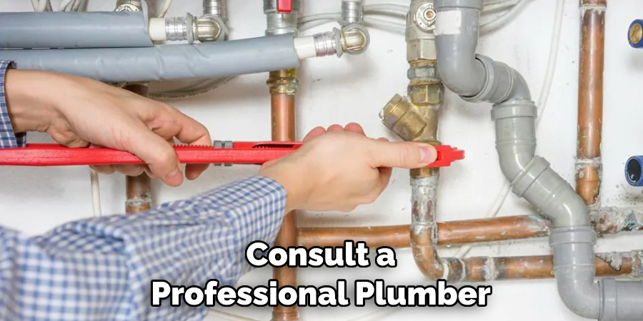 Consult a Professional Plumber