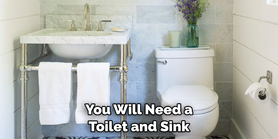 You Will Need a Toilet and Sink