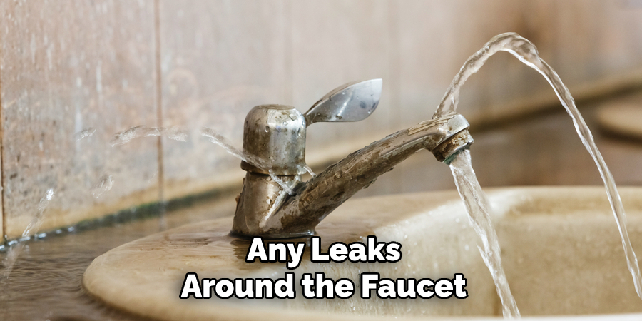 Any Leaks Around the Faucet