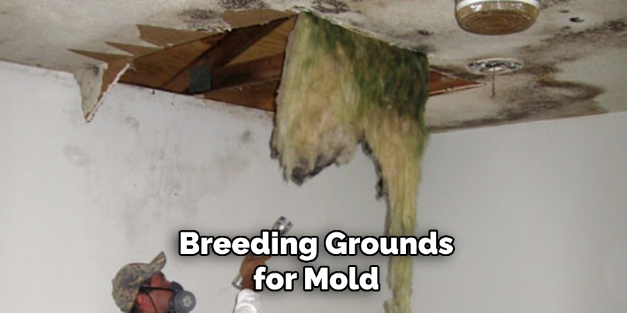 Breeding Grounds for Mold