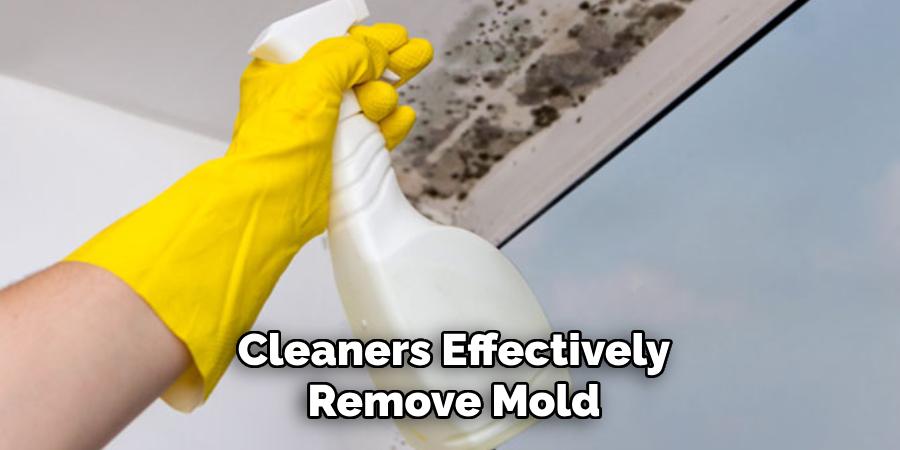 Cleaners Effectively Remove Mold