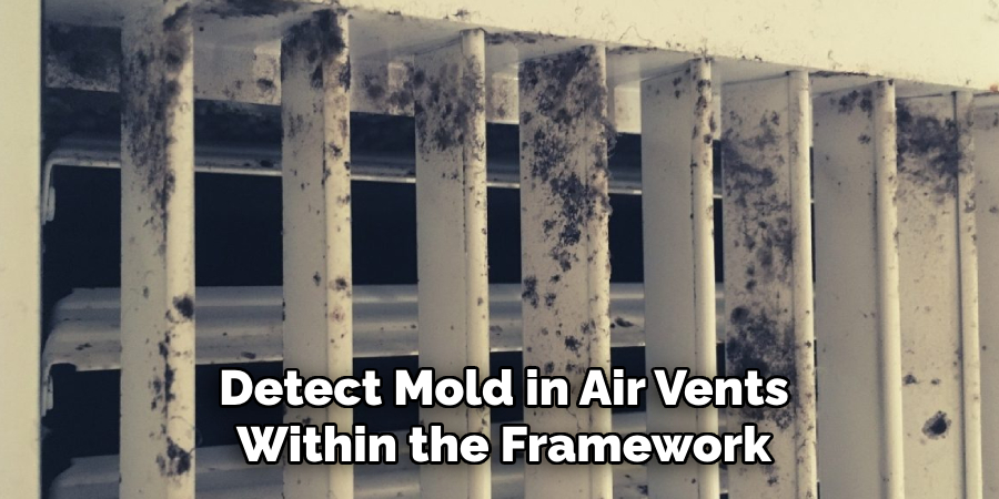 Detect Mold in Air Vents Within the Framework