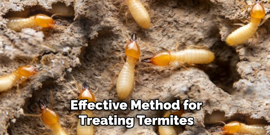 Effective Method for Treating Termites