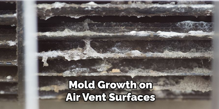 Mold Growth on Air Vent Surfaces