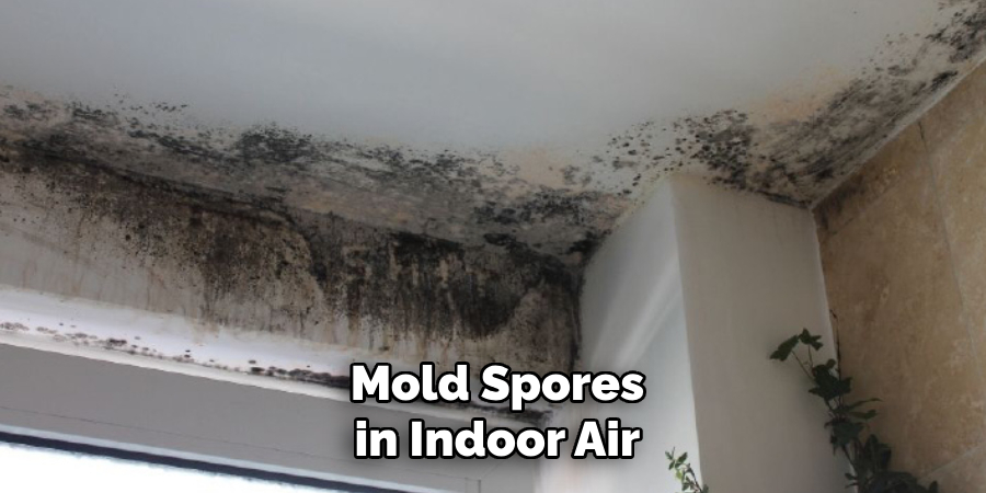 Mold Spores in Indoor Air