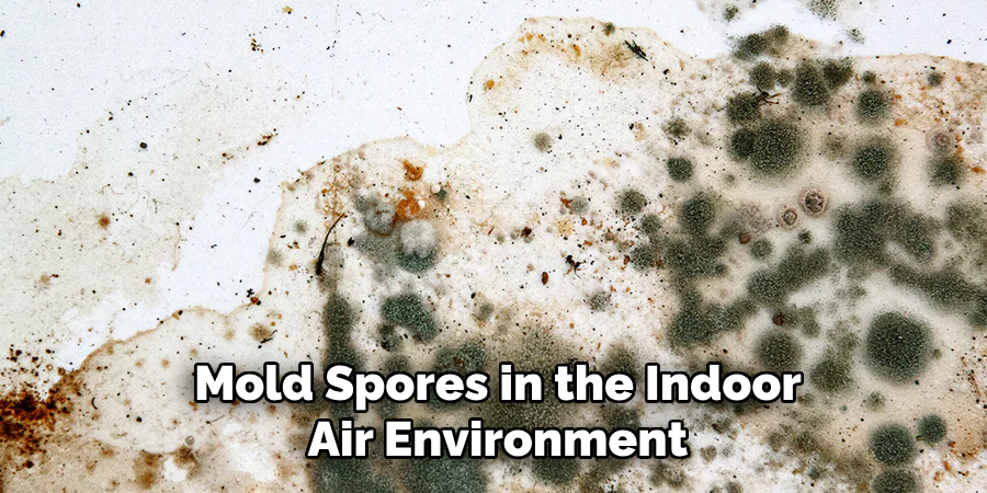 Mold Spores in the Indoor Air Environment