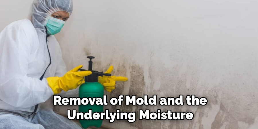 Removal of Mold and the Underlying Moisture