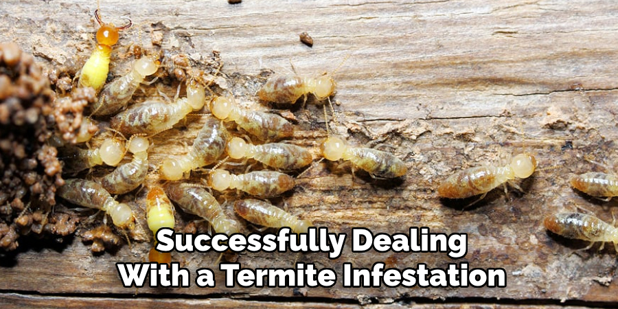 Successfully Dealing With a Termite Infestation