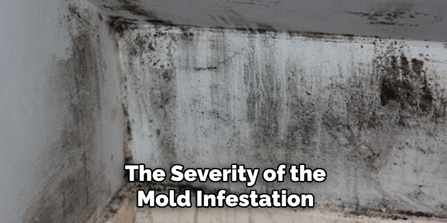 The Severity of the Mold Infestation
