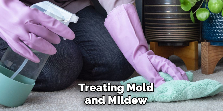 Treating Mold and Mildew