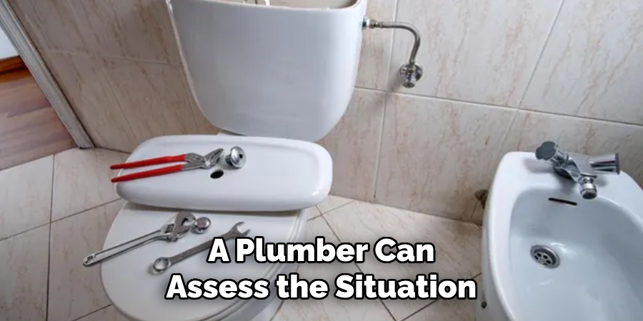 A Plumber Can Assess the Situation