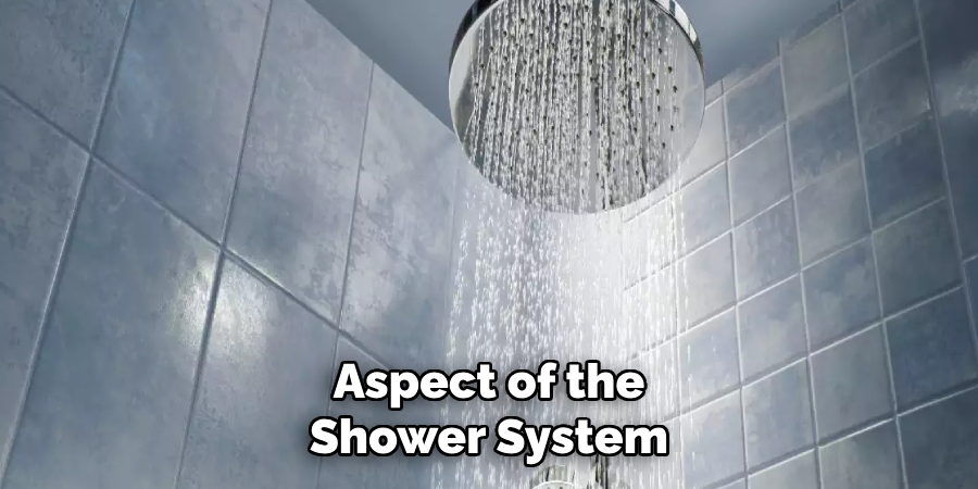 Aspect of the Shower System