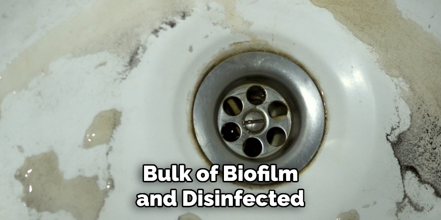 Bulk of Biofilm and Disinfected