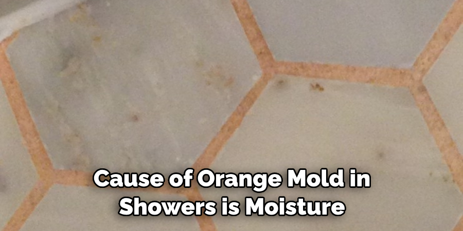 Cause of Orange Mold in Showers is Moisture