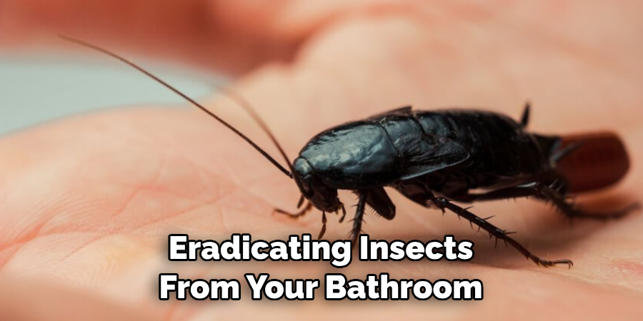 Eradicating Insects From Your Bathroom