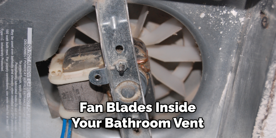 Fan Blades Inside Your Bathroom Vent