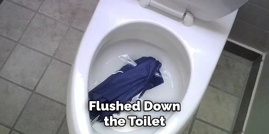 Flushed Down the Toilet