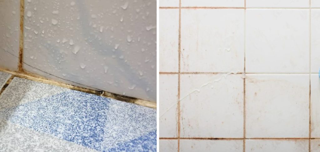 How to Clean Orange Mold in Shower