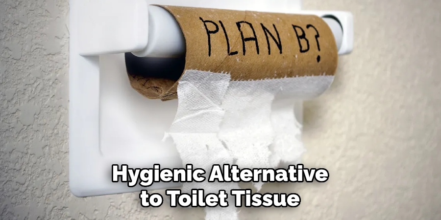 Hygienic Alternative to Toilet Tissue