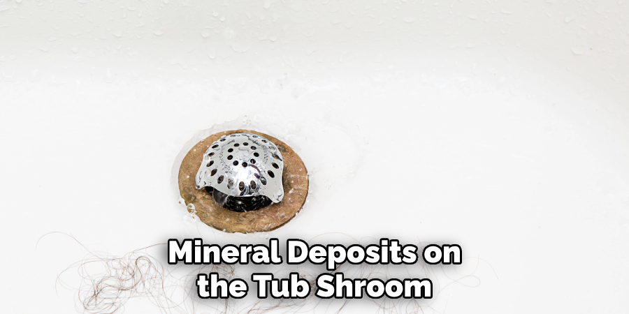 Mineral Deposits on the Tub Shroom