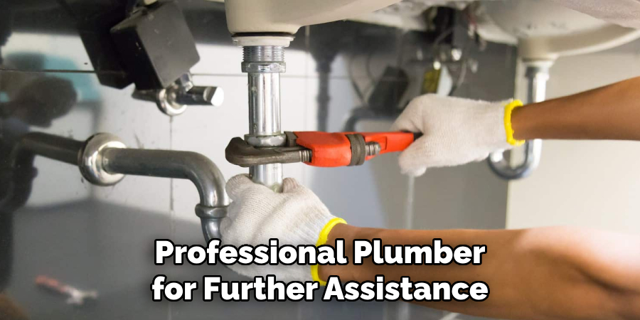 Professional Plumber for Further Assistance