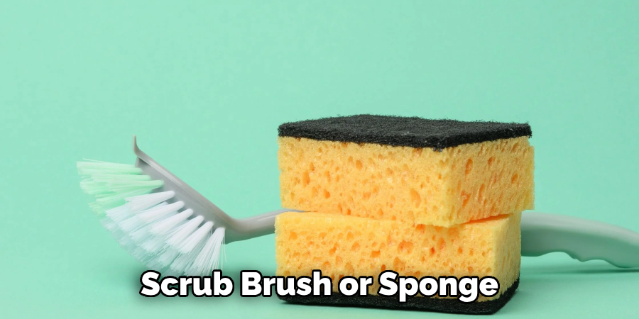 Scrub Brush or Sponge