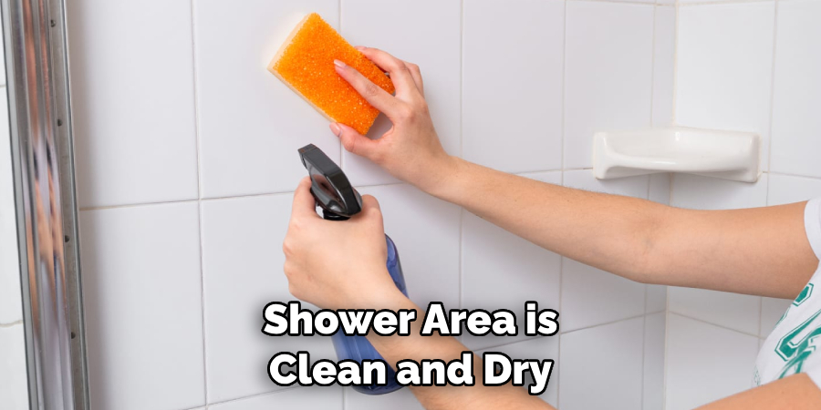 Shower Area is Clean and Dry