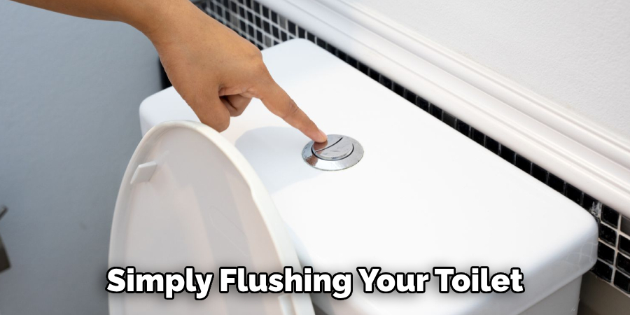 Simply Flushing Your Toilet 