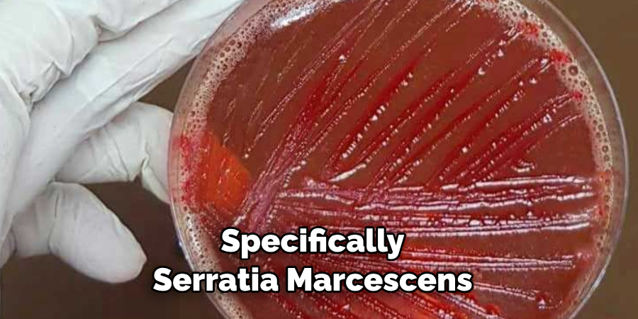 Specifically Serratia Marcescens