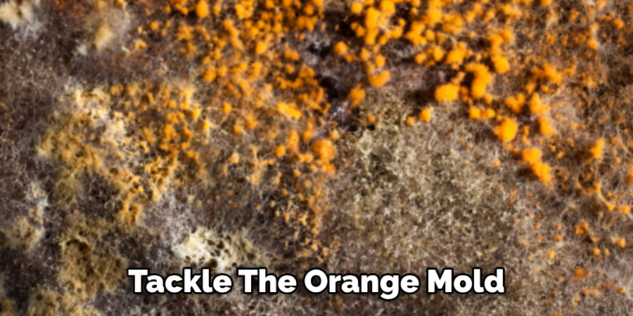 Tackle the Orange Mold