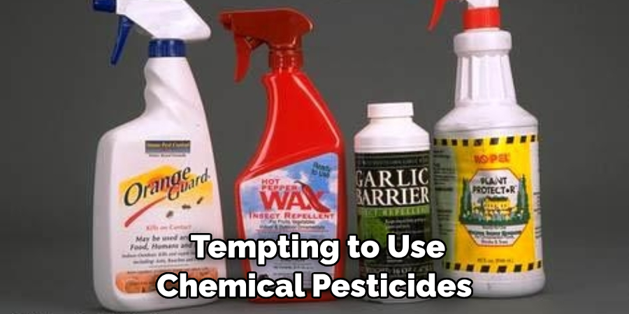 Tempting to Use Chemical Pesticides 