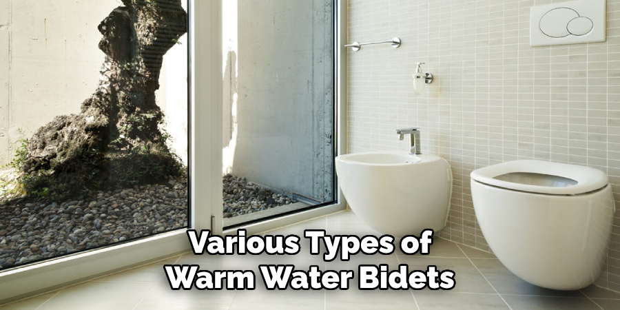 Various Types of Warm Water Bidets