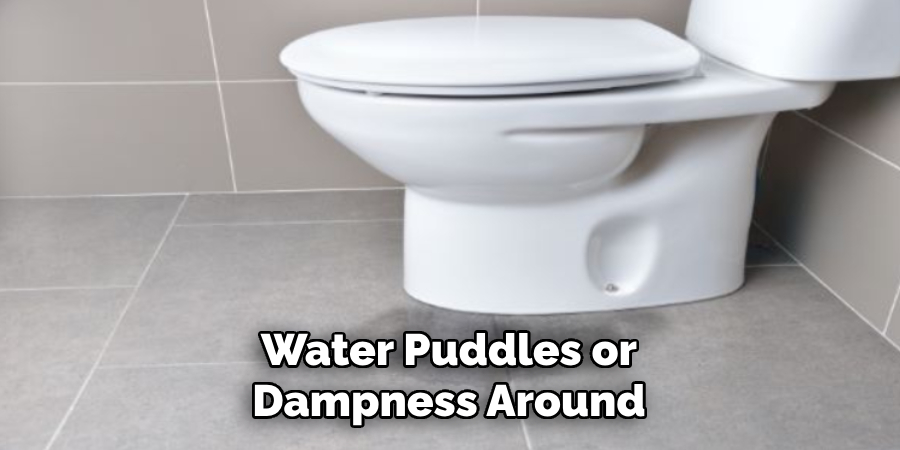 Water Puddles or Dampness Around