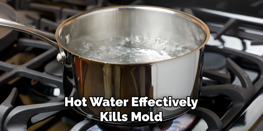 Hot Water Effectively Kills Mold