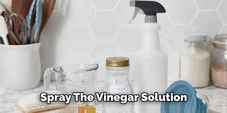 Spray the Vinegar Solution