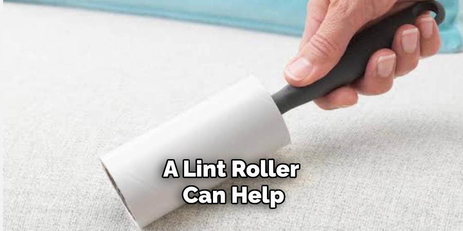 A Lint Roller Can Help