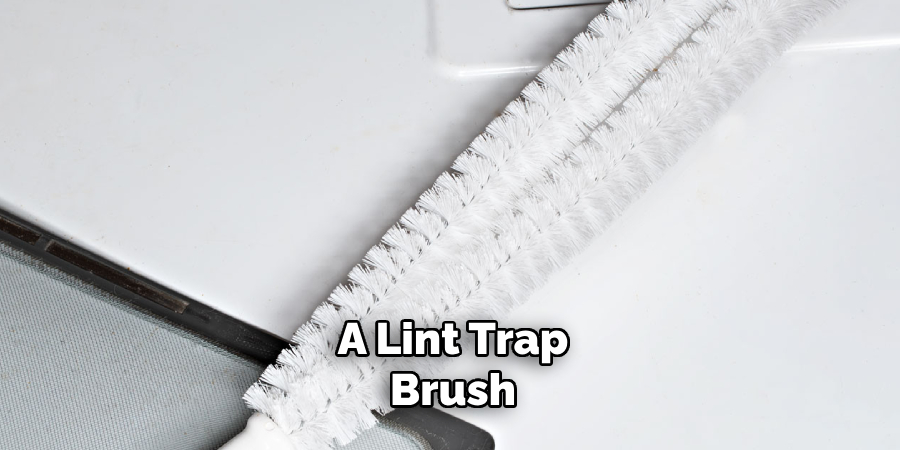 A Lint Trap Brush 