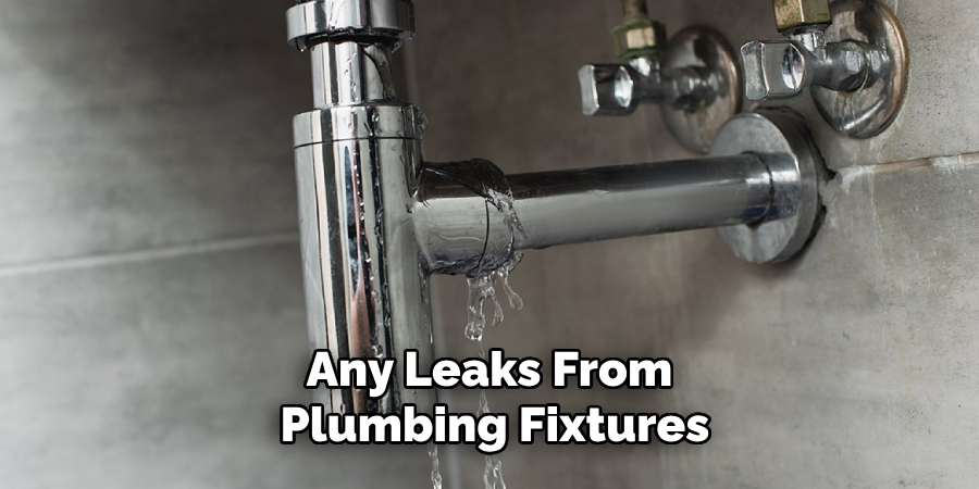  Any Leaks From Plumbing Fixtures 