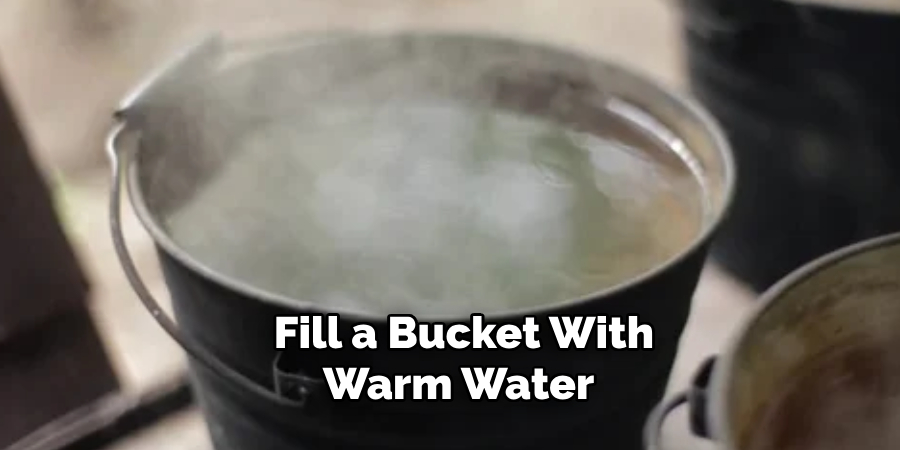 Fill a Bucket With Warm Water 